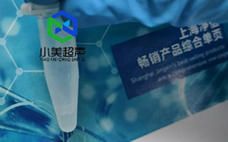 腫瘤細(xì)胞破碎用一體式超聲波細(xì)胞破碎儀實(shí)驗(yàn)破碎提取蛋白效果如何？